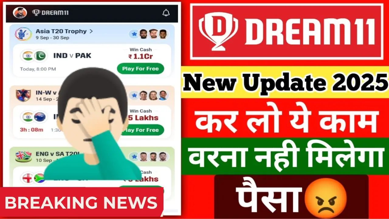 Dream11 Return 2025